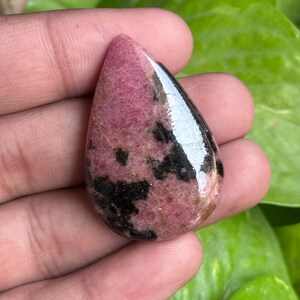 K&ouml;nnte beinhalten: Ein polierter, tropfenf&ouml;rmiger Edelstein mit einem rosa und schwarzen Muster. Der Stein hat eine gl&auml;nzende Oberfl&auml;che und wird in einer Hand vor einem Hintergrund aus gr&uuml;nem Laub gehalten. Die rosa Farbe dominiert, mit schwarzen Einschl&uuml;ssen.