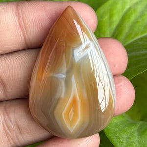 May include: A polished, teardrop-shaped gemstone with a mix of brown, orange, and white bands. The stone has a glossy finish and a central diamond-shaped pattern. The background features green leaves.