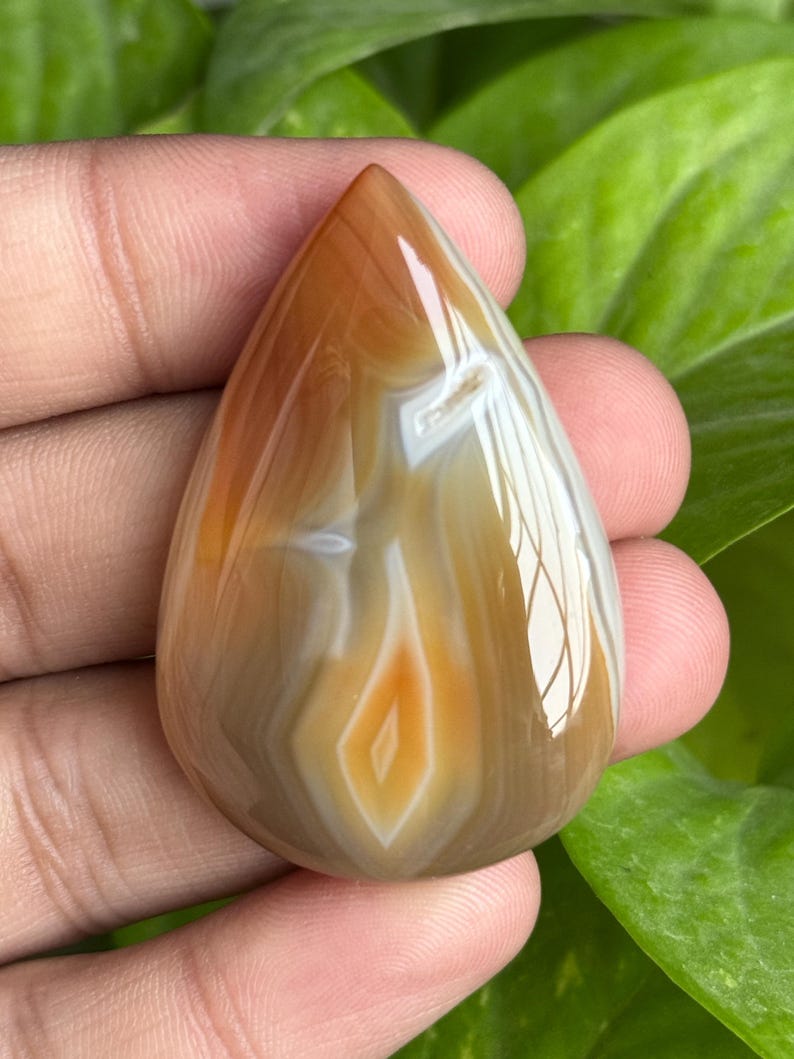 May include: A polished, teardrop-shaped gemstone with a mix of brown, orange, and white bands. The stone has a glossy finish and a central diamond-shaped pattern. The background features green leaves.