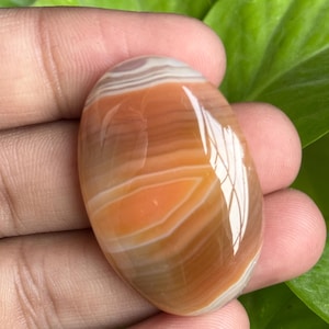 May include: Oval-shaped polished gemstone with bands of orange, brown, and white. The stone has a glossy finish and is held against a backdrop of green leaves. The gemstone's smooth surface reflects light.