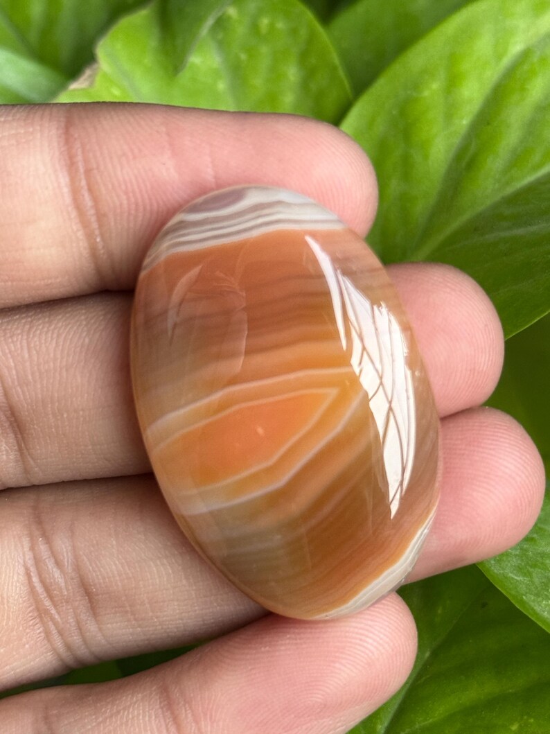 May include: Oval-shaped polished gemstone with bands of orange, brown, and white. The stone has a glossy finish and is held against a backdrop of green leaves. The gemstone's smooth surface reflects light.