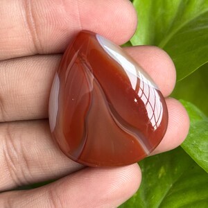 May include: A polished, teardrop-shaped gemstone with a rich, reddish-brown hue, accented by bands of white and lighter brown. The stone's surface reflects light, showcasing its smooth texture. The gemstone is held against a backdrop of green foliage.