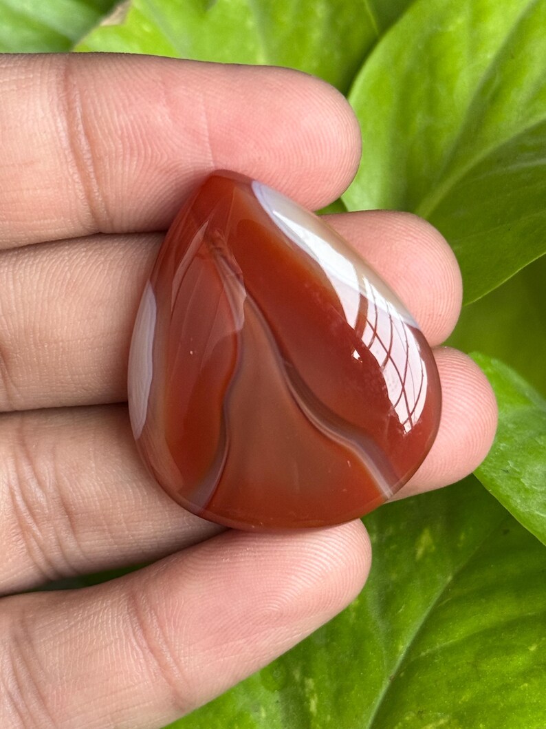 May include: A polished, teardrop-shaped gemstone with a rich, reddish-brown hue, accented by bands of white and lighter brown. The stone's surface reflects light, showcasing its smooth texture. The gemstone is held against a backdrop of green foliage.