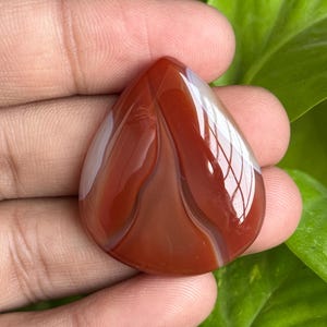 May include: A polished, teardrop-shaped gemstone with a rich, reddish-brown hue and white banding. The stone is smooth and reflective, with a glossy finish. The gemstone is held in a hand against a backdrop of green leaves.