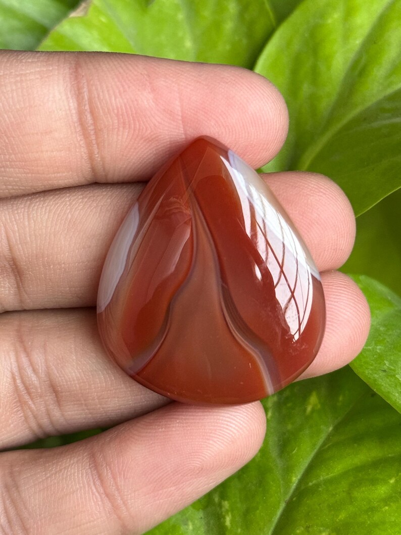 May include: A polished, teardrop-shaped gemstone with a rich, reddish-brown hue and white banding. The stone is smooth and reflective, with a glossy finish. The gemstone is held in a hand against a backdrop of green leaves.