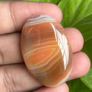 May include: Oval-shaped polished gemstone with layers of orange, brown, and white. The stone has a smooth, glossy surface and a natural, earthy appearance. The gemstone is held in a hand, with green foliage in the background.