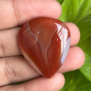 May include: A polished, teardrop-shaped gemstone with a rich, reddish-brown hue, accented by swirling bands of lighter brown and a touch of white. The stone is held in a hand, with green foliage in the background.