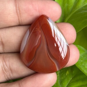 May include: A polished, teardrop-shaped gemstone with a rich, reddish-brown hue, accented by creamy white and lighter brown bands. The stone is held in a hand, with a glossy surface reflecting light. The background features green foliage.