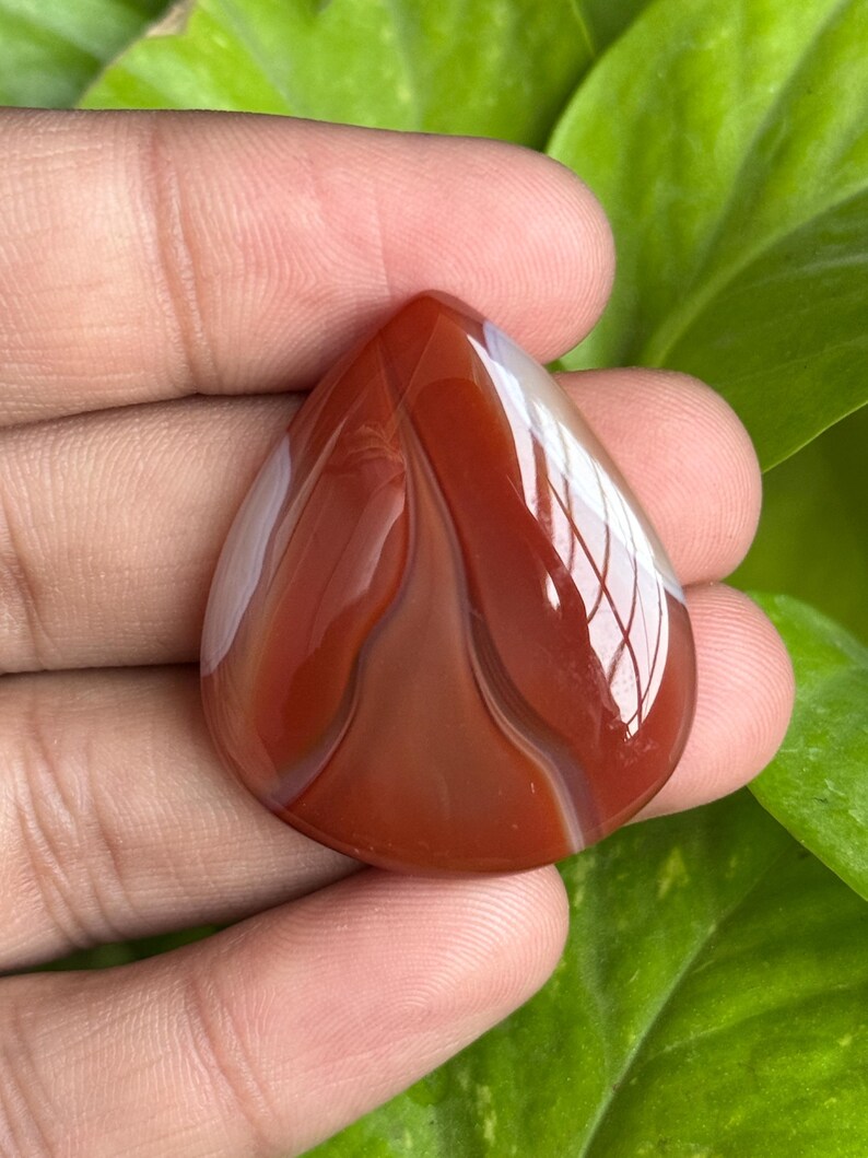 May include: A polished, teardrop-shaped gemstone with a rich, reddish-brown hue, accented by creamy white and lighter brown bands. The stone is held in a hand, with a glossy surface reflecting light. The background features green foliage.
