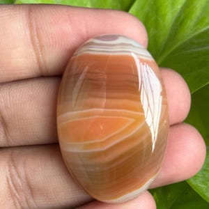 May include: An oval-shaped gemstone with a polished surface. The stone features bands of orange, brown, and white, creating a layered effect. The gemstone is held in a hand, with green foliage in the background.