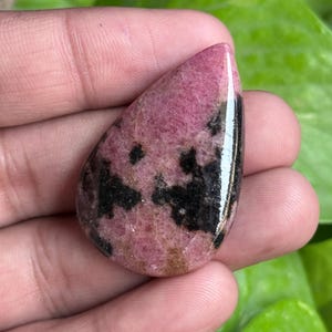 K&ouml;nnte beinhalten: Ein polierter, tropfenf&ouml;rmiger Edelstein mit einem rosa und schwarzen Muster. Der Stein hat eine gl&auml;nzende Oberfl&auml;che und wird in einer Hand vor einem Hintergrund aus gr&uuml;nem Laub gehalten. Die rosa Farbe dominiert, mit schwarzen Einschl&uuml;ssen.