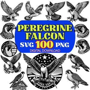 Puede incluir: Una colección de ilustraciones en blanco y negro de halcones peregrinos en varias poses, incluyendo vuelo y posado. Una pancarta azul muestra el texto "PEREGRINE FALCON SVG 100 PNG DIGITAL DOWNLOAD".