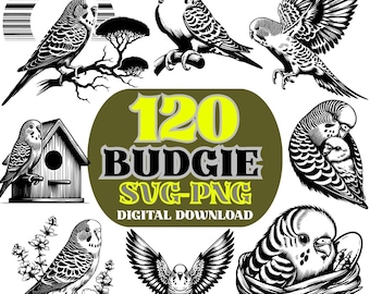 Budgie SVG PNG Bundle, 120 Parakeet Illustrations (Digital Download)