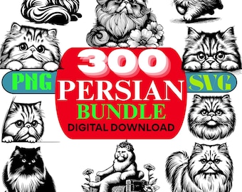 Persian Cat Clipart Bundle, Hand Drawn Fluffy Kitten Vector Art (PNG, SVG Digital Download)