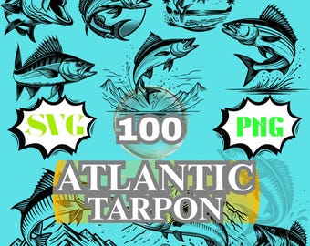 Tarpon Angeln SVG Bundle, 100 Vintage Fisch Illustrationen (PNG Clipart)