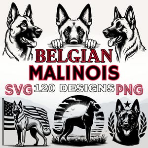May include: A collection of black and white illustrations of Belgian Malinois dogs in various poses. The text "BELGIAN MALINOIS SVG 120 DESIGNS PNG" is displayed in red and black. One image shows a dog with an American flag.