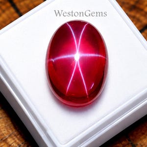 May include: An oval-shaped red star ruby gemstone featuring a distinct six-rayed star effect across its smooth, polished surface. The gemstone is displayed in a square white plastic container with the text WestonGems printed on the lid.