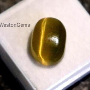 May include: A golden-yellow, oval gemstone with a polished surface, set on a white base. The stone exhibits a chatoyant effect, with a bright band of light. The text "WestonGems" is visible on the white surface.