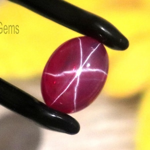 May include: A polished, oval-shaped, red gemstone with a six-rayed star pattern. The gem is held by black tweezers against a blurred yellow background. The text "WestonGems" is visible.