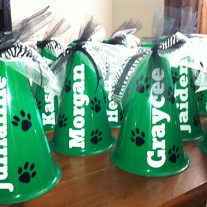 Personalized Megaphones - Team Gifts - Cheerleader - Cheer Party - Best Party Favors - Cheer Squad - Team Gifts