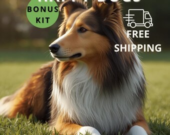 Calm Paws, Happy Dogs : Soulager le stress et l’anxiété des chiens grâce à des solutions sûres, naturelles et pratiques. Livraison gratuite.
