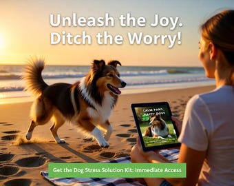 Pattes calmes, chiens heureux : Soulager le stress et l’anxiété des chiens grâce à des solutions sûres, naturelles et pratiques. TÉLÉCHARGEMENT NUMÉRIQUE INSTANTANÉ