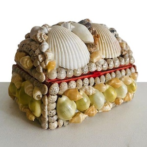 Schelpen sieradendoosje met aquarium cadeau tip