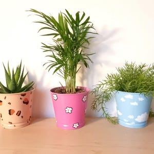Peut inclure: Trois pots de plantes décoratifs avec de la verdure. Les pots sont peints dans différentes couleurs et motifs : un pot pêche avec un imprimé léopard, un pot rose avec des fleurs blanches et un pot bleu avec des nuages blancs.