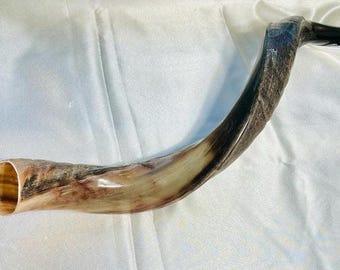 ユダヤのショファール クーズーの角笛 85～90 cm (34～36 インチ