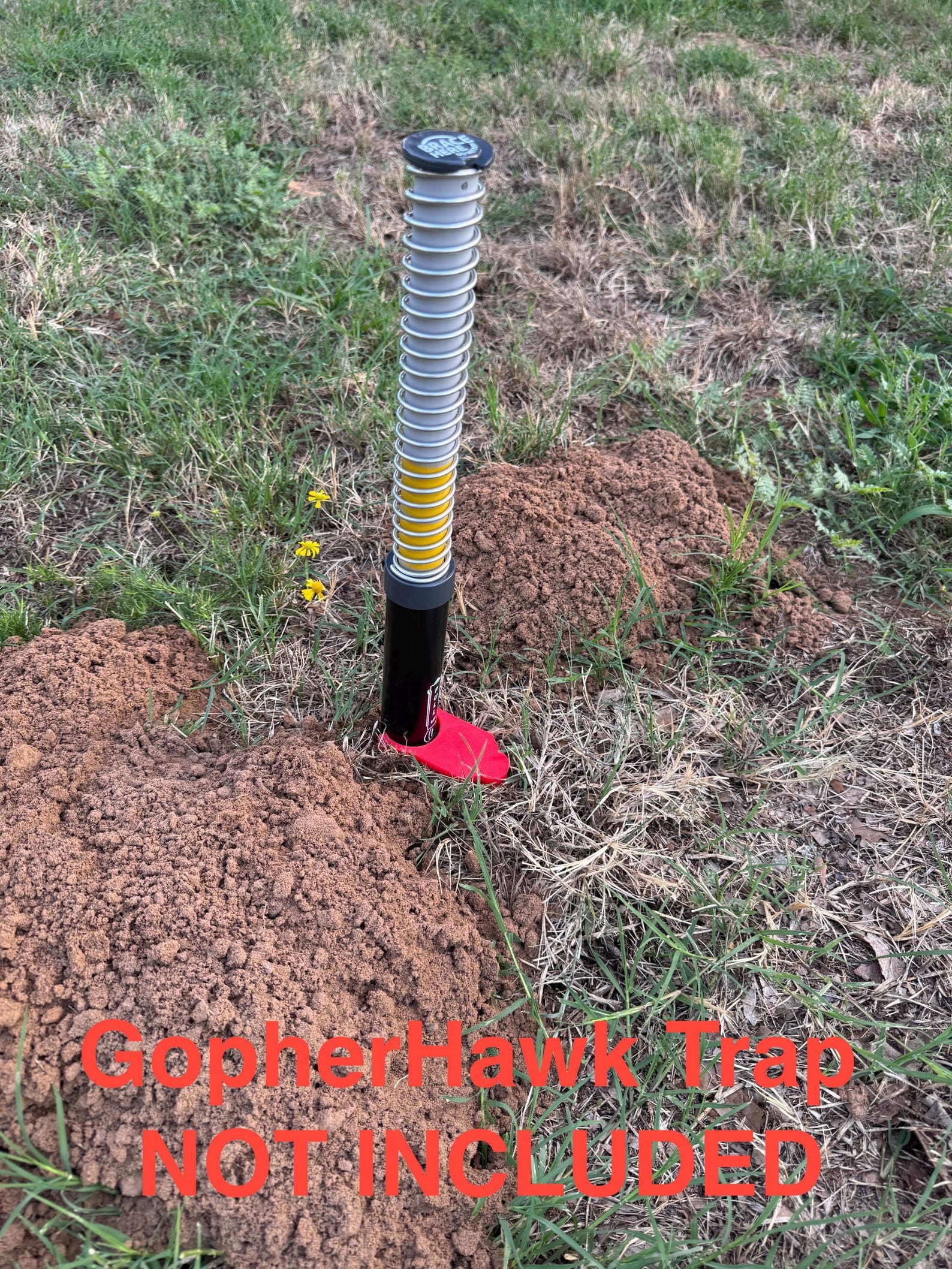 Gopherhawk Trap Stand Stabilizer for Loose Soil (2 Stands) - Etsy