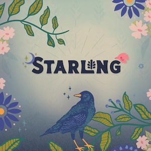 May include: Illustration featuring the word "STARLING" in navy blue, with a stylized bird perched on a branch. The design includes floral and botanical elements in pink, blue, and green, set against a soft, gradient background.