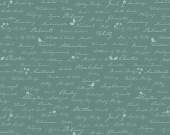Ambleside Town Names Teal, Quilting Cotton Fabric by Amanda Niederhauser for Riley Blake Designs, C17116-TEAL