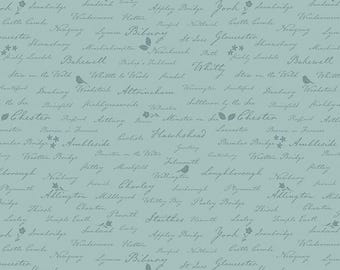 Ambleside Town Names Blue, Quilting Cotton Fabric by Amanda Niederhauser for Riley Blake Designs, C17116-BLUE