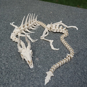 May include: An off-white articulated skeleton of a mythical creature, possibly a dragon. The skeleton has a horned skull, a long spine, and articulated limbs. The creature's remains are displayed on a grey surface.