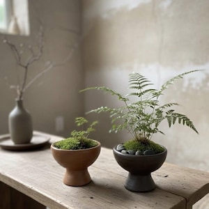 May include: Two small potted plants with ferns and moss sit on a rustic wooden table. The pots are brown and dark gray, with a pedestal base. A vase with branches is in the background.