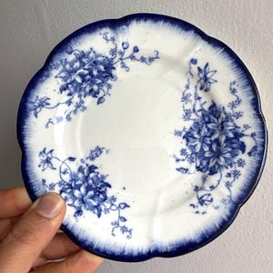 May include: A small, white plate with a scalloped edge and a dark blue rim. The plate features a floral design in shades of blue. The flowers are clustered in several areas around the plate's surface. This decorative plate is ideal for serving small portions.