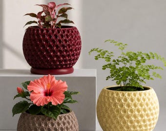 Puede incluir: Tres macetas esféricas con un patrón de panal texturizado en el exterior. Una maceta es de color rojo oscuro con una planta rojiza, otra es de color marrón claro con una flor de hibisco rosa y otra es de color amarillo pálido con un helecho verde.