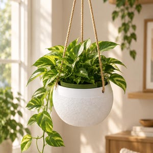May include: A white, spherical hanging planter with a textured, matte finish on the lower half and a smooth upper rim. The planter is suspended by three thick, natural-coloured jute ropes and contains a lush, trailing pothos plant with variegated green and yellow leaves.