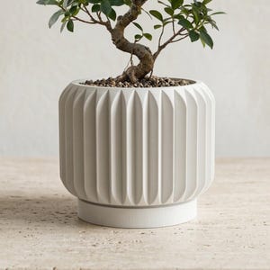 Modern Indoor Planter Pot, Ribbed Plant Pot with Drainage Tray, Minimalist Succulent Planter