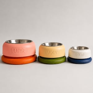 May include: Three pet bowls with stainless steel inserts and colorful silicone bases. The largest is coral with an orange base labeled LUNA, the middle is yellow with a green base labeled BUDDY, and the smallest is white with a blue base labeled BELLA.