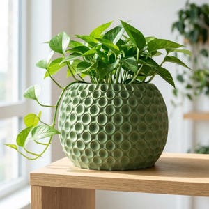May include: A green ceramic planter with a textured, circular pattern, filled with vibrant green pothos plants. The round pot sits on a light-colored wooden table, with a window and other plants in the background. The planter is approximately 10 inches in diameter.