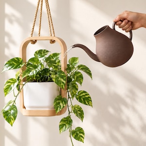 Hanging Planter and Watering Can Set, Modern Indoor Decor with Jute Rope