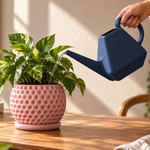 May include: A matte pink spherical planter with a textured honeycomb surface pattern and a matching circular base tray, containing a green and yellow variegated pothos plant being watered by a dark blue geometric plastic watering can.