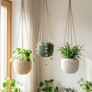 Könnte beinhalten: Drei hängende Blumentöpfe mit Pflanzen. Die Töpfe sind mit Seilen an Haken aufgehängt. Die Töpfe sind beige, grün und weiß, jeweils mit einem Rautenmuster. Die Pflanzen haben grüne Blätter.