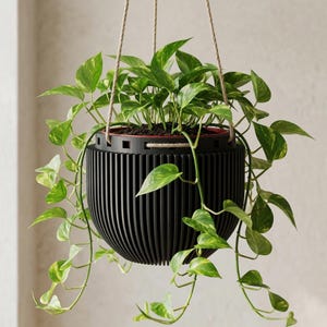 Hanging Planter Indoor | Modern 3D Printed Hanging Plant Pot | Minimalist Window Planter | Boho Plant Hanger | Scandinavian Home Decor