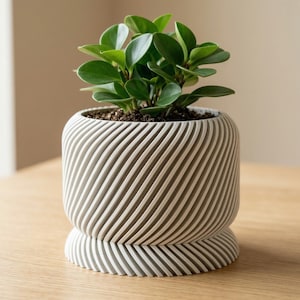Moderner Spiraltopf mit Untersetzer – 3D Gedruckter Blumentopf für den Innenbereich – Minimalistischer Blumentopf – Sukkulenten Bonsai Zimmerpflanzentopf