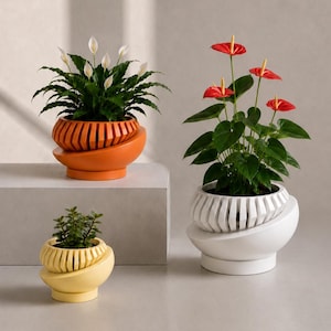 Sculptural Indoor Planter, Modern Plant Pot with Removable Drainage Tray