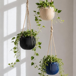 Maceta colgante de interior, maceta moderna para ventana, colgador de plantas escandinavo para pothos.