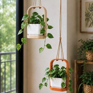 Pot suspendu d'intérieur, pot amovible avec drainage, support pour plante de fenêtre