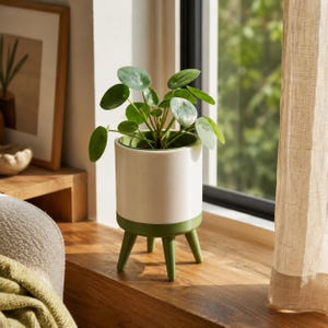 Maceta de interior con drenaje, maceta moderna con patas, maceta elevada para suculentas, maceta pequeña para plantas de interior, regalo para amantes de las plantas.